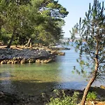 Marija * Njivice